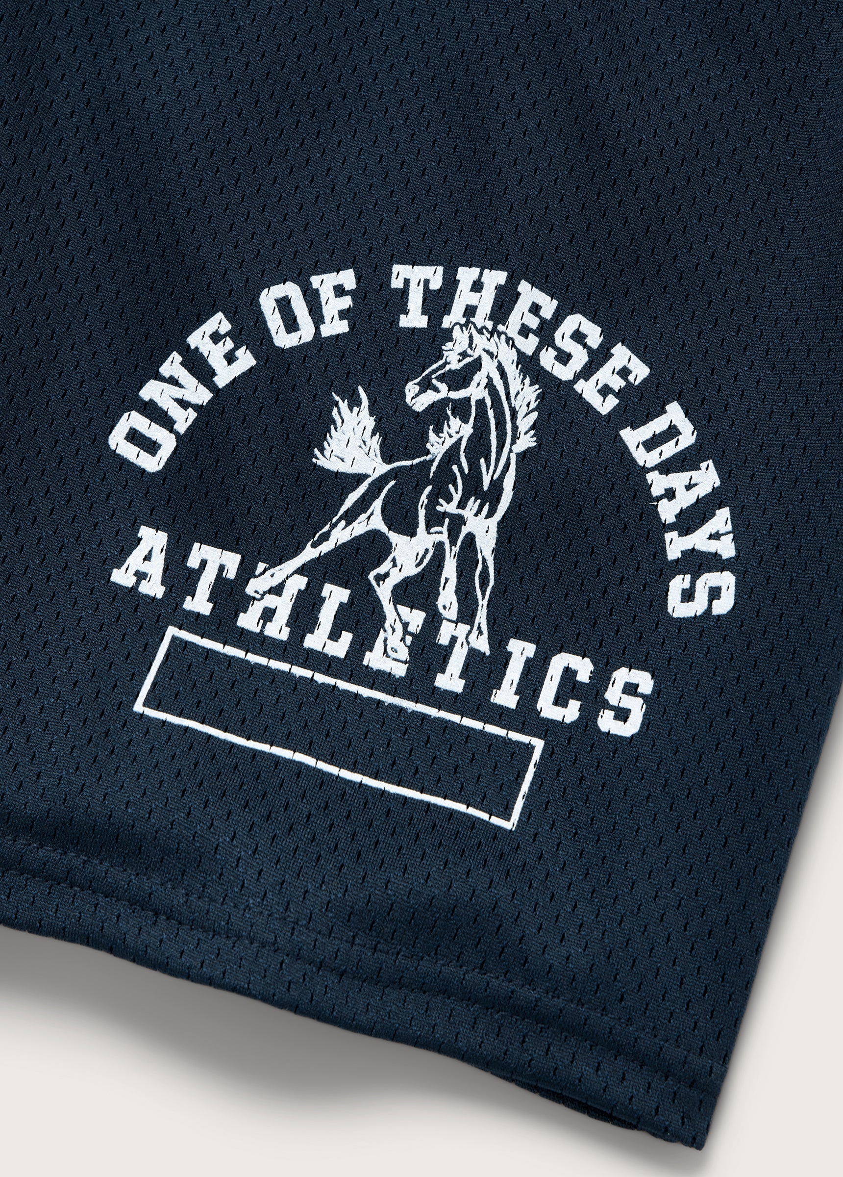 Mustang Athletics Mesh Shorts in Navy - Image 3