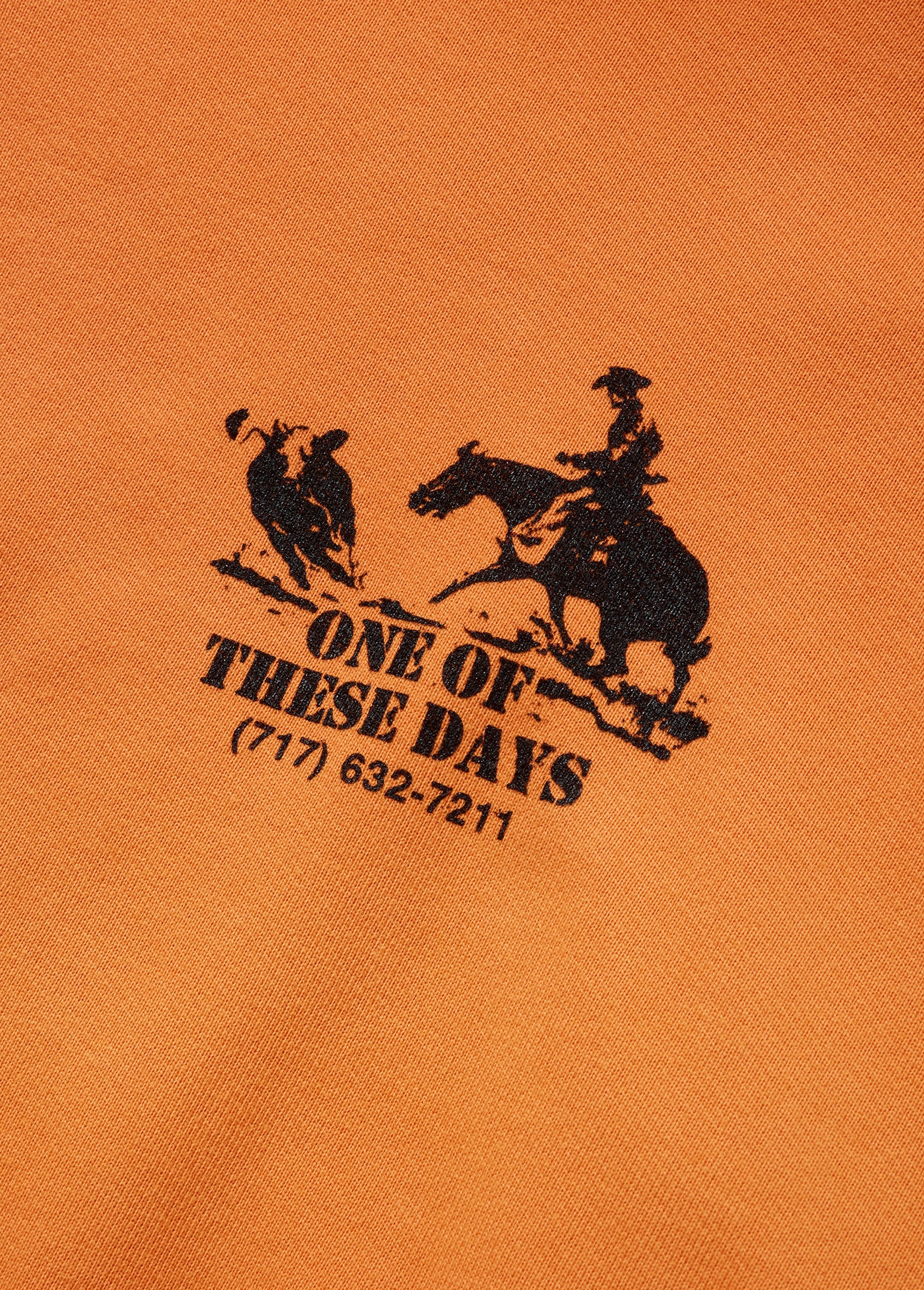 Round Up Hooded Sweatshirt in Orange - Image 5